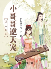 ѵ���з���С��������С˵