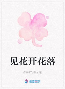 ����������С˵