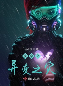 �Ǽ����֮��С˵