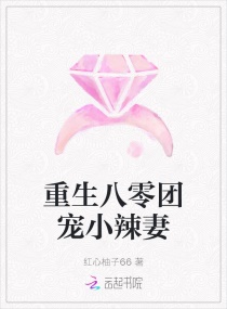 ���������ų�С����С˵