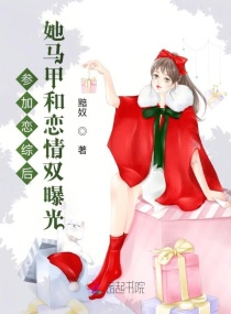 �μ����ۺ������׺�����˫�ع�С˵