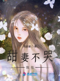 ���޲�������С˵