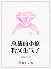 �ܲõ�С�þ���������С˵