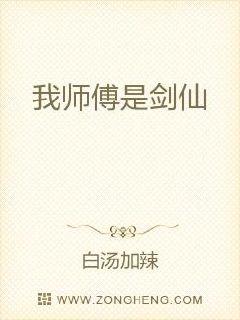 ��ʦ���ǽ���С˵