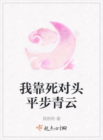 �ҿ�����ͷƽ������С˵