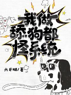 �����򹷶���ϵͳС˵