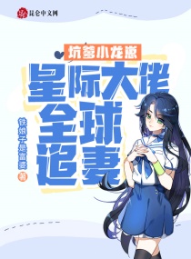 �ӵ�С���̣��Ǽʴ���ȫ��׷��С˵