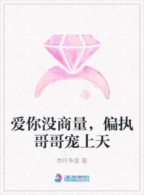 ����û������ƫִ��������С˵