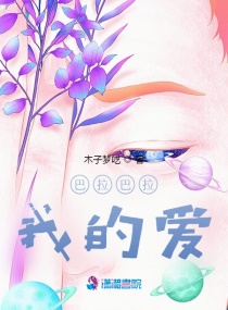 ����������С˵