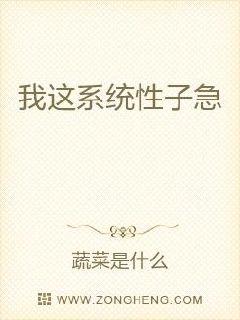 ����ϵͳ���Ӽ�С˵