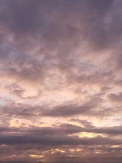 ����֮������ͬ����С˵