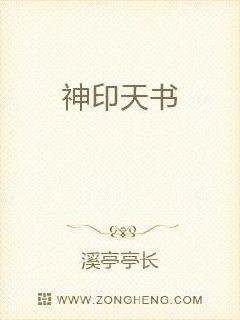 ��ӡ����С˵