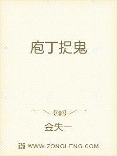 �Ҷ�׽��С˵