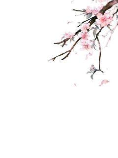 ������С˵