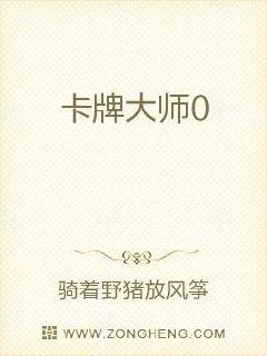 ���ƴ�ʦ0С˵