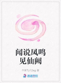 ��˵����������С˵