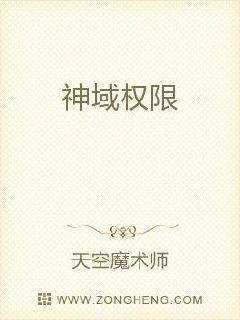 ����Ȩ��С˵