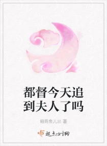 ��������׷����������С˵