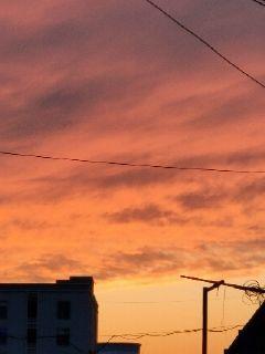 ����������������С˵