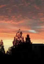 �����������Ķ�txt����