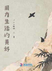 ��ɫ����С˵