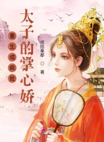 �����ɷ���̫�ӵ����Ľ�С˵