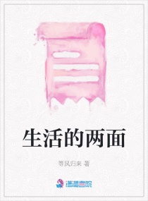 ���������С˵