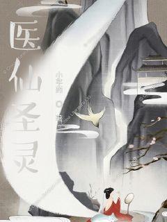 ҽ��ʥ��С˵