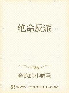 ��������С˵