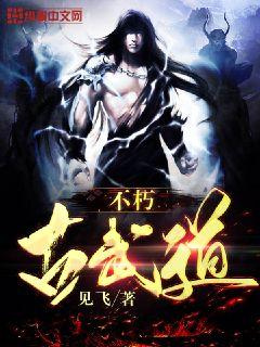 ��������С˵