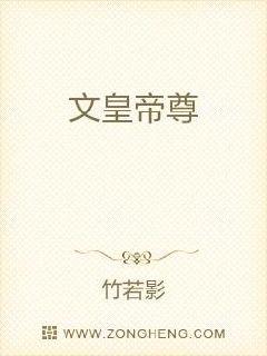 �Ļʵ���С˵