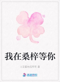 ����ɣ������С˵