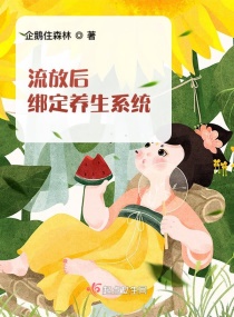 ���ź������ϵͳС˵