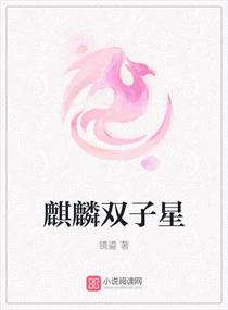 ����˫����С˵