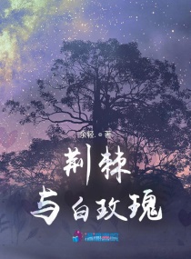 �������õ��С˵