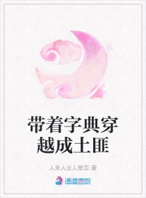 �����ֵ䴩Խ������С˵