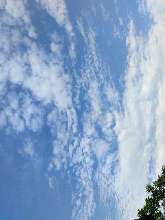 ����˫��С˵