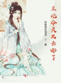 ����������ȥ����С˵