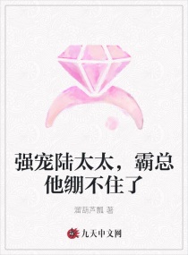 ǿ��½̫̫������������ס��С˵