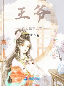 �������Ǹ���������ճ����С˵