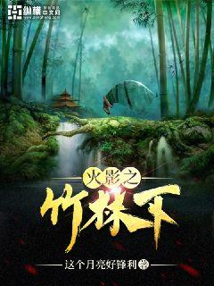 ��Ӱ֮������С˵