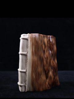 ����˹�������Ķ�txt����