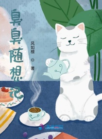 ���ھ����������С˵