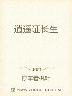 ��ң֤����С˵