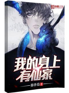 �ҵ��������ɼ�С˵