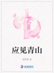 Ӧ����ɽС˵