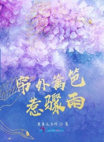 �������������С˵