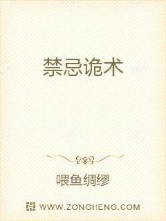 ���ɹ���С˵