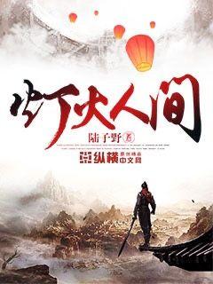 �ƻ��˼�С˵