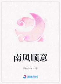 �Ϸ�˳��С˵